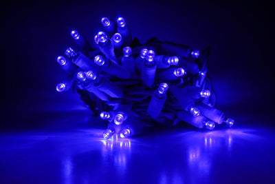 Blue LED lights